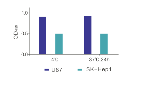 Cell Counting Kit -8  IV08
