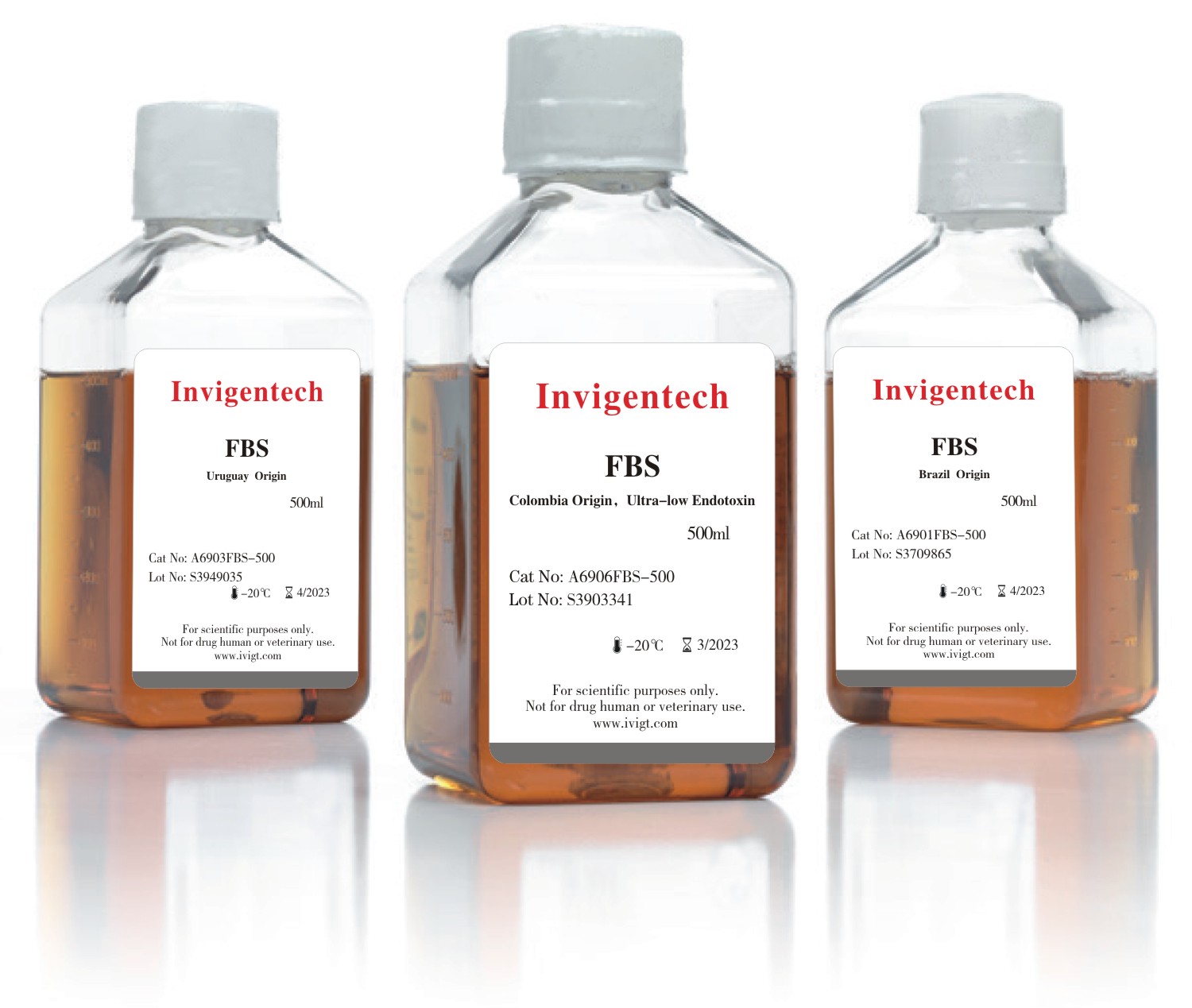 Pig Serum  A6801P-500